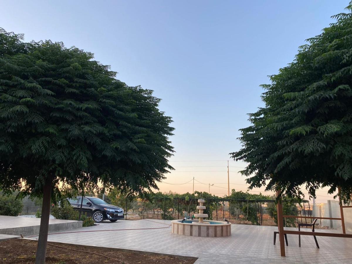 مزرعة النجم Najem Farm Al-Qasr Exterior foto
