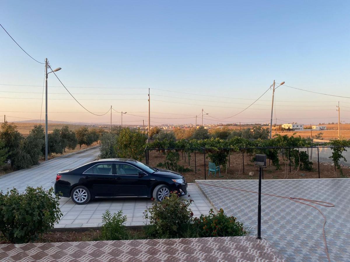 مزرعة النجم Najem Farm Al-Qasr Exterior foto
