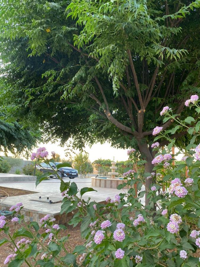 مزرعة النجم Najem Farm Al-Qasr Exterior foto