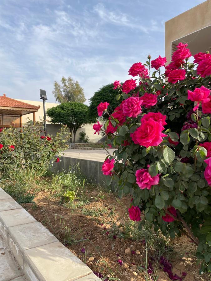 مزرعة النجم Najem Farm Al-Qasr Exterior foto