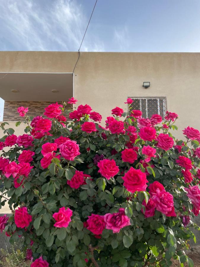 مزرعة النجم Najem Farm Al-Qasr Exterior foto