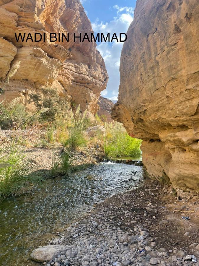 مزرعة النجم Najem Farm Al-Qasr Exterior foto
