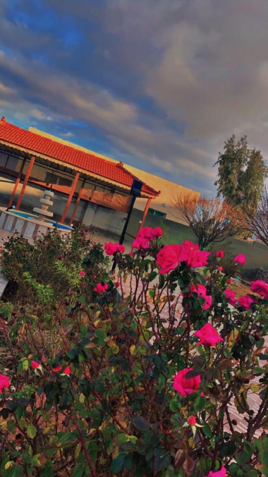 مزرعة النجم Najem Farm Al-Qasr Exterior foto